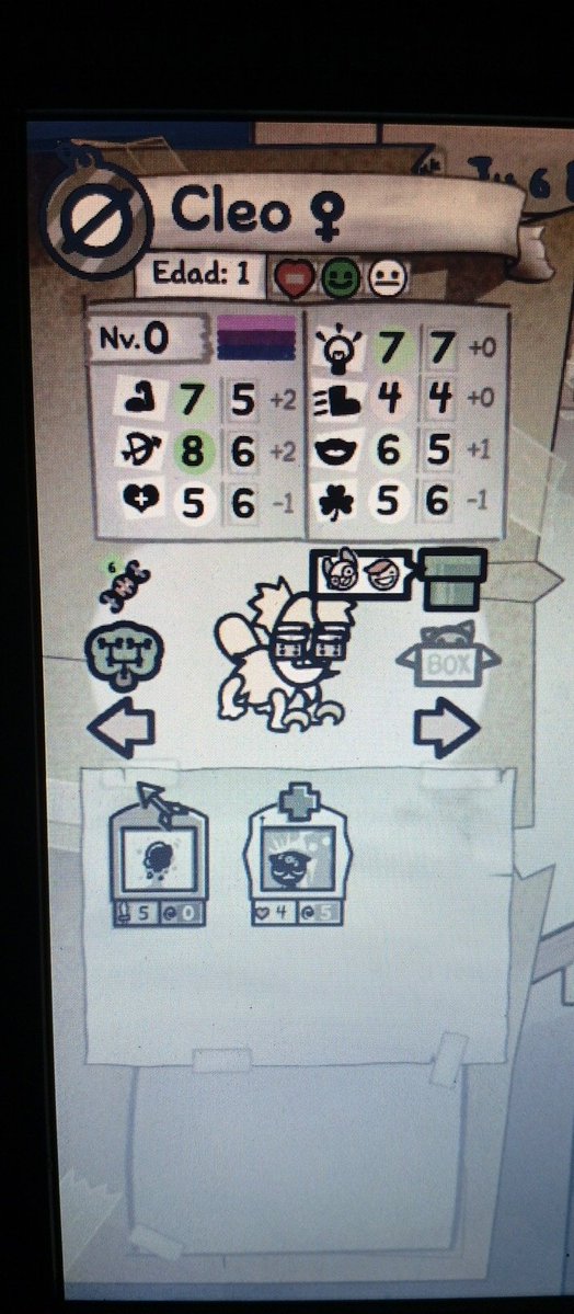 Maxiarcoiris tweet media