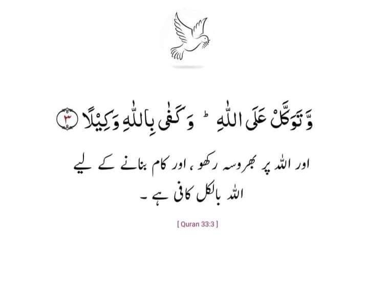 🦋Wa$i...⚘ tweet media