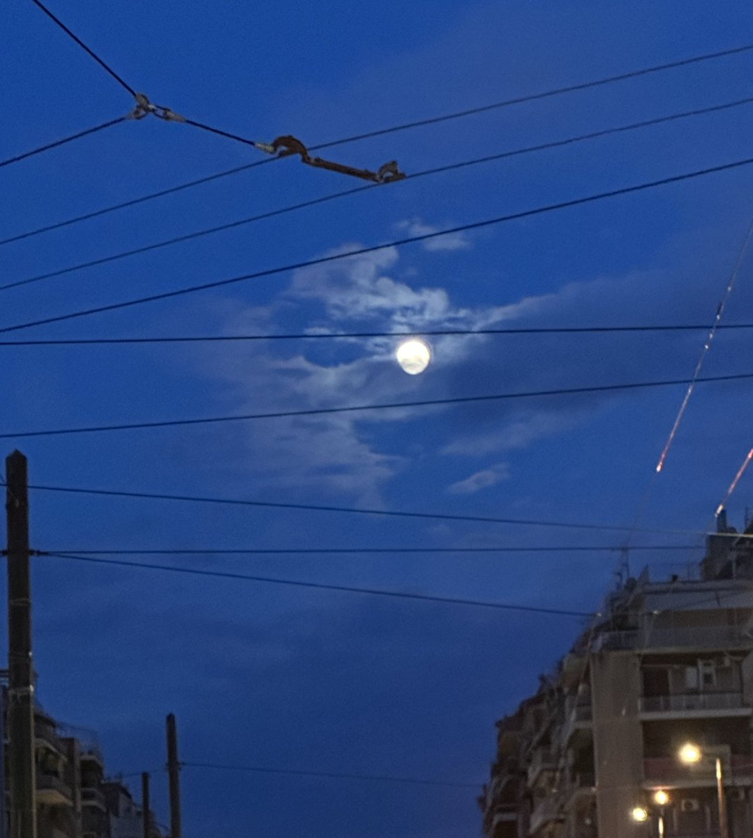 🔺OLiVE🔻 tweet media