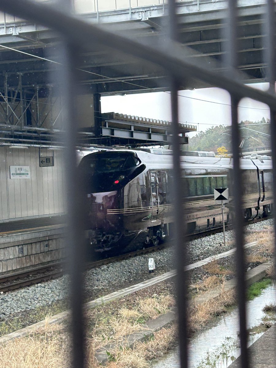 転職活動中の一七(かずな)→次:はつじゅー16→offf tweet media