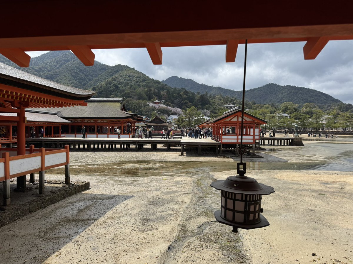 バールのようなもの🐾 tweet media