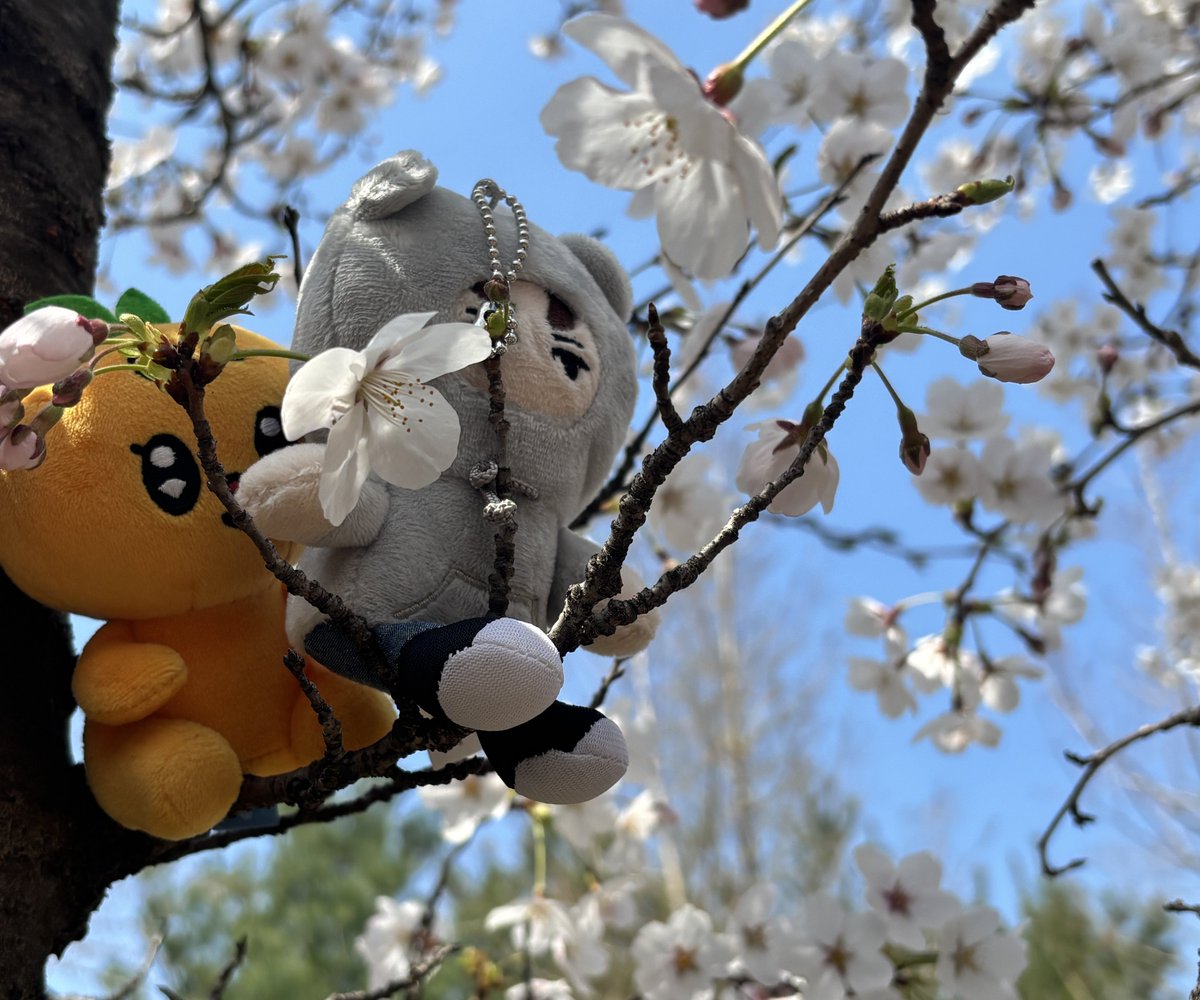 BooForYouKR tweet media