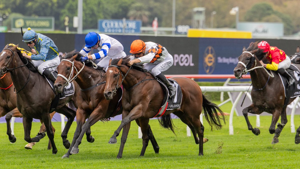 Arrowfield Stud tweet media