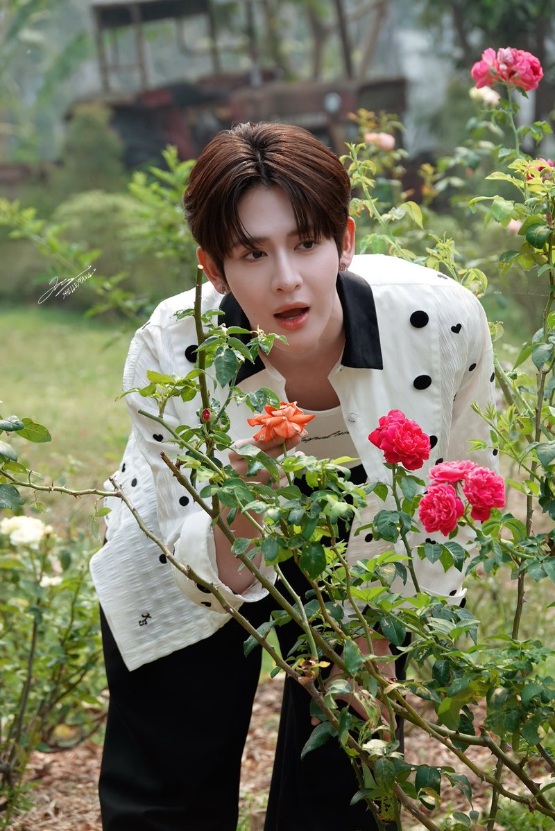 shelleyfang🌼 เชลลี่ tweet media