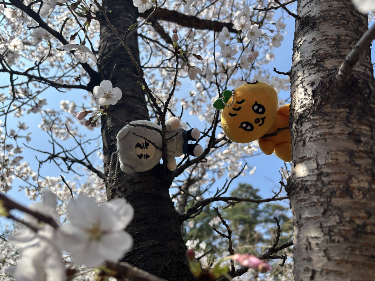 BooForYouKR tweet media