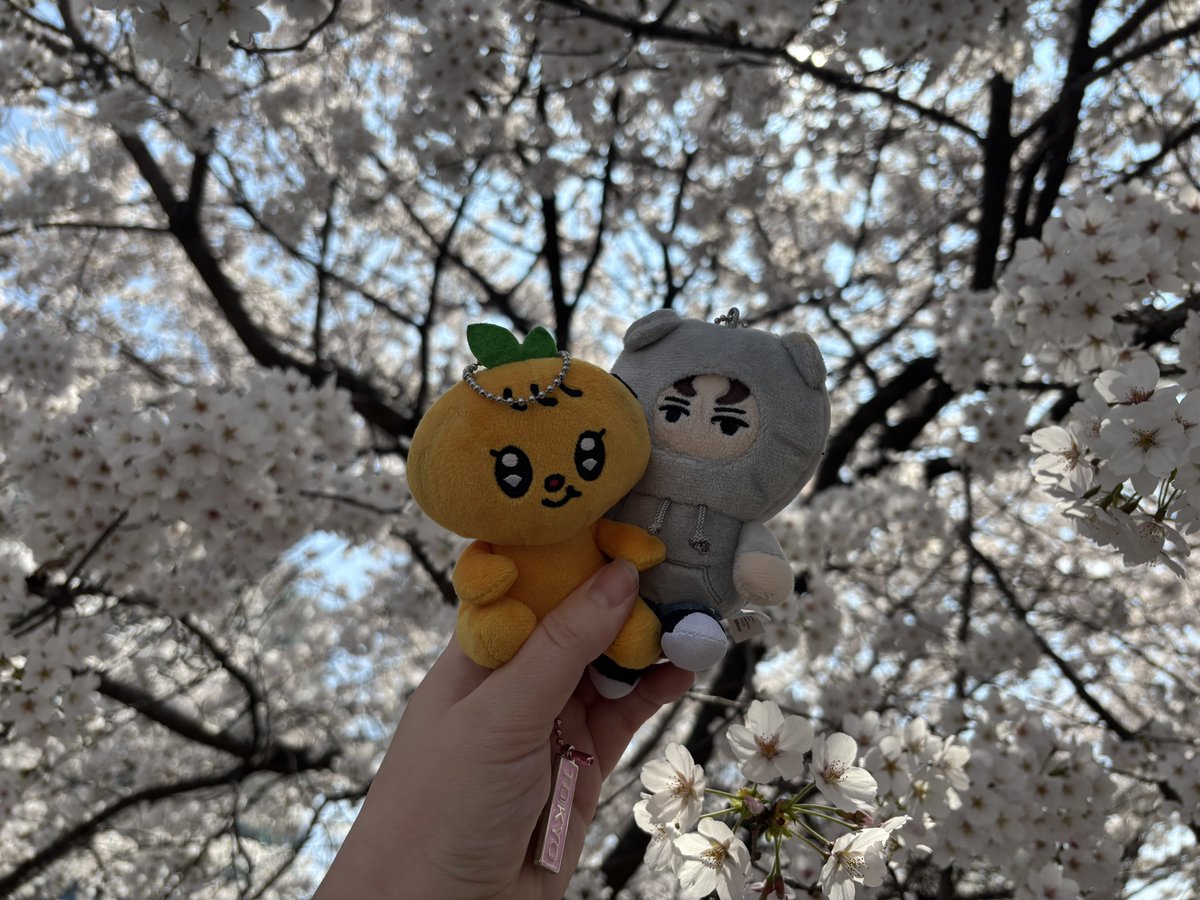 BooForYouKR tweet media