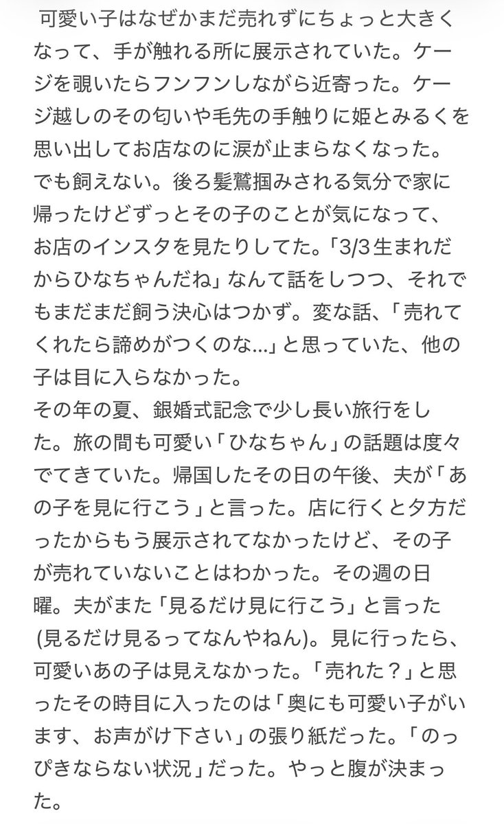 まろまろん tweet media