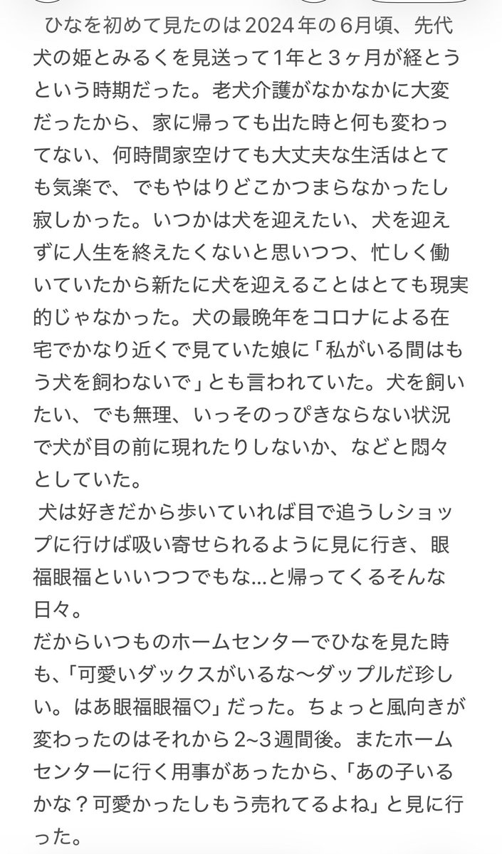 まろまろん tweet media