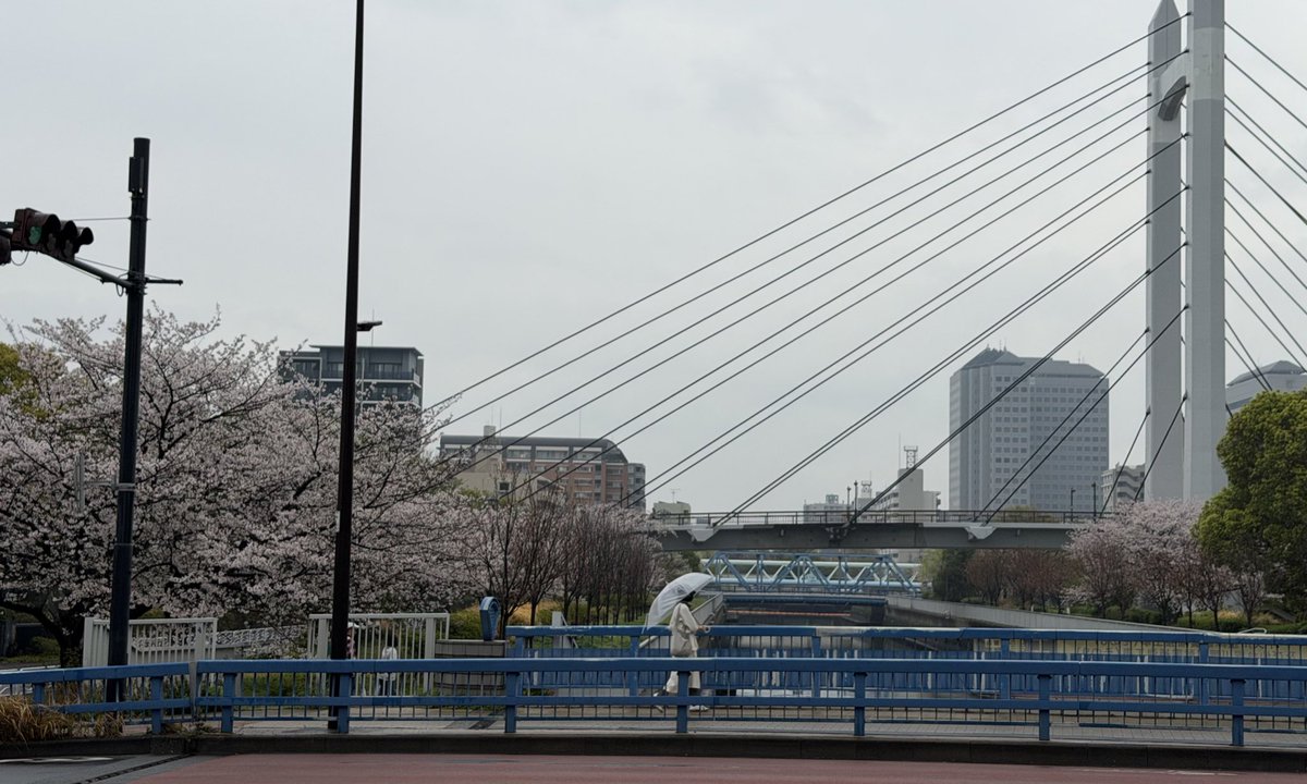 清澄白河に住むひと tweet media