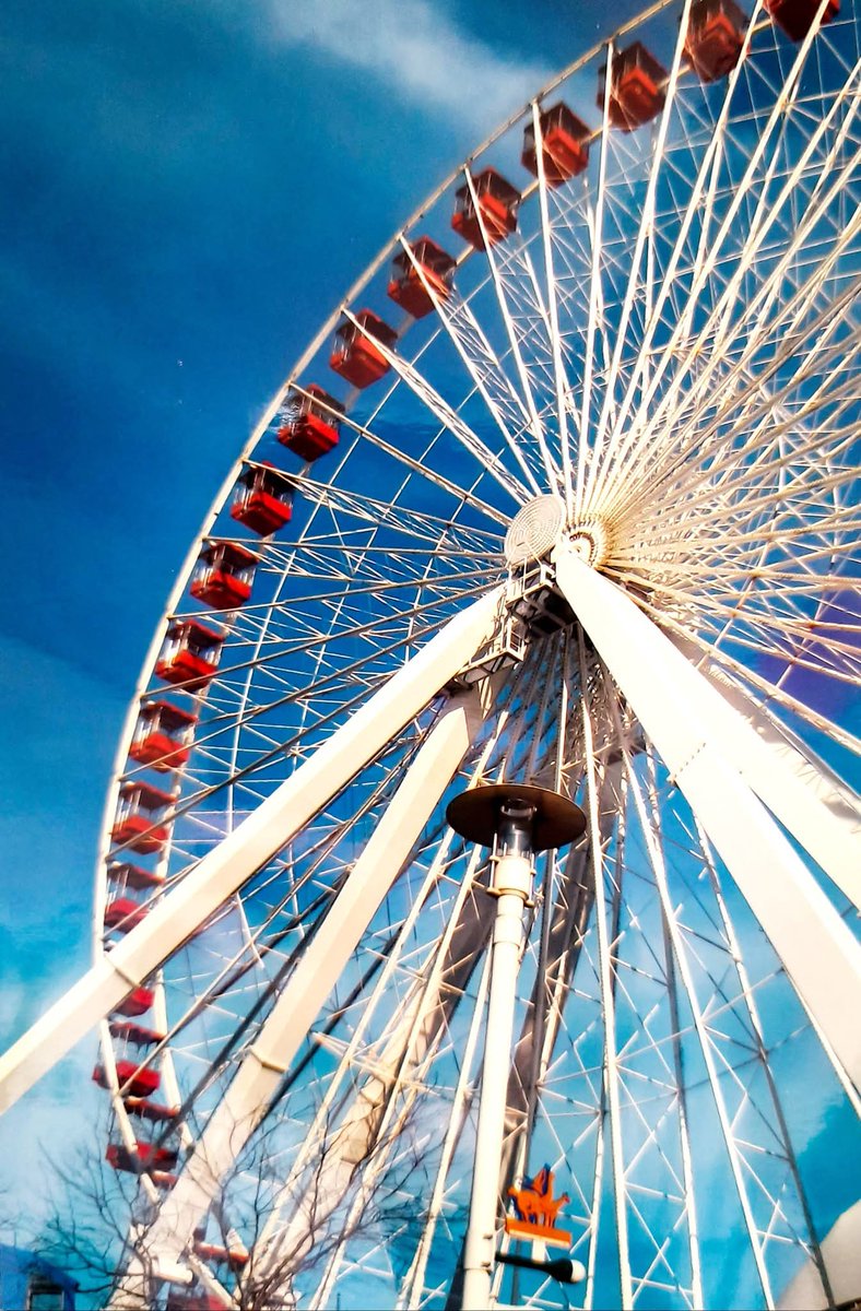 Tanu Trai. tweet media