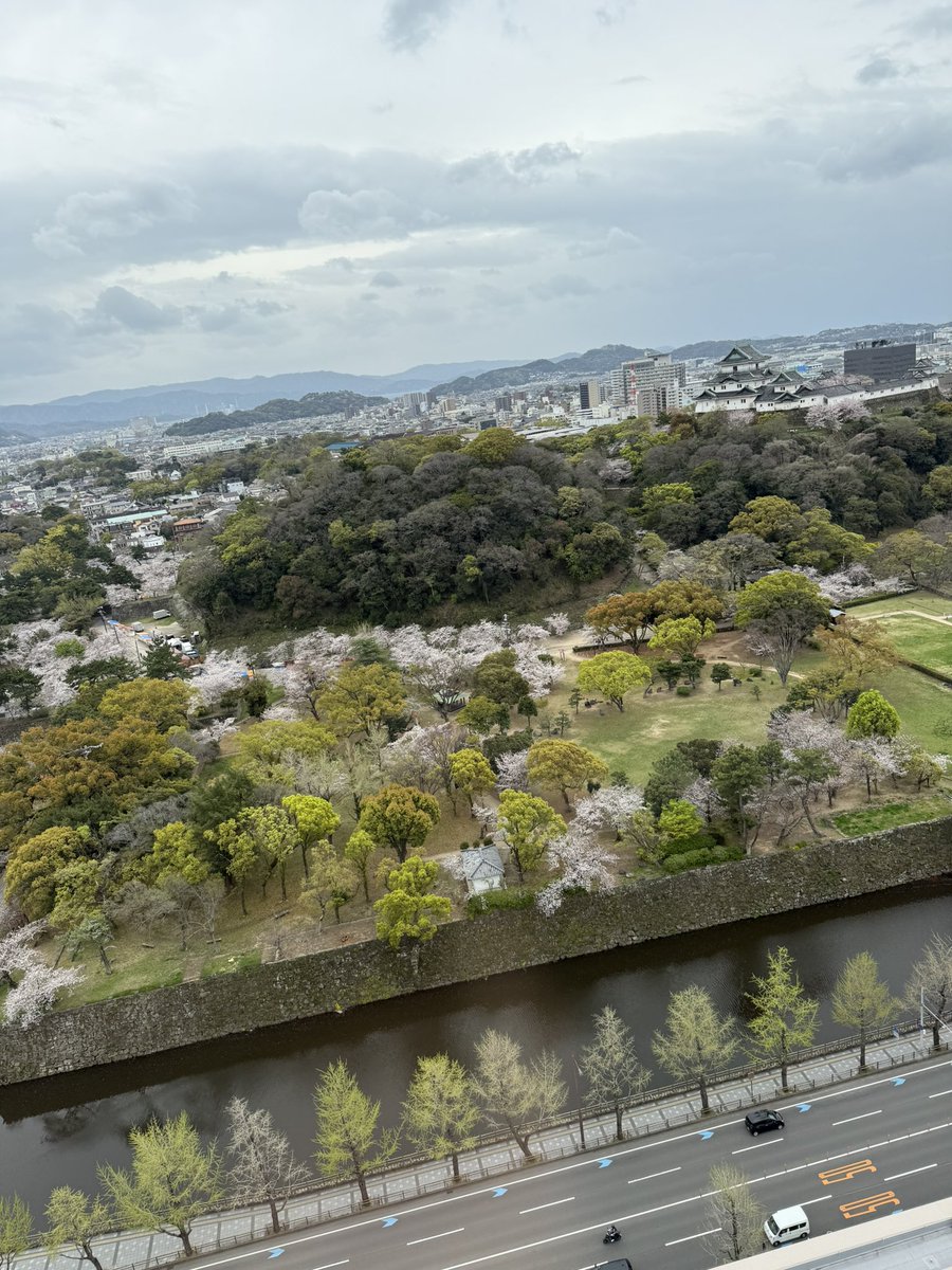 きよりん様へ 和歌山美味し美し✨✨ #47きよりん #47都道府県ツアー
