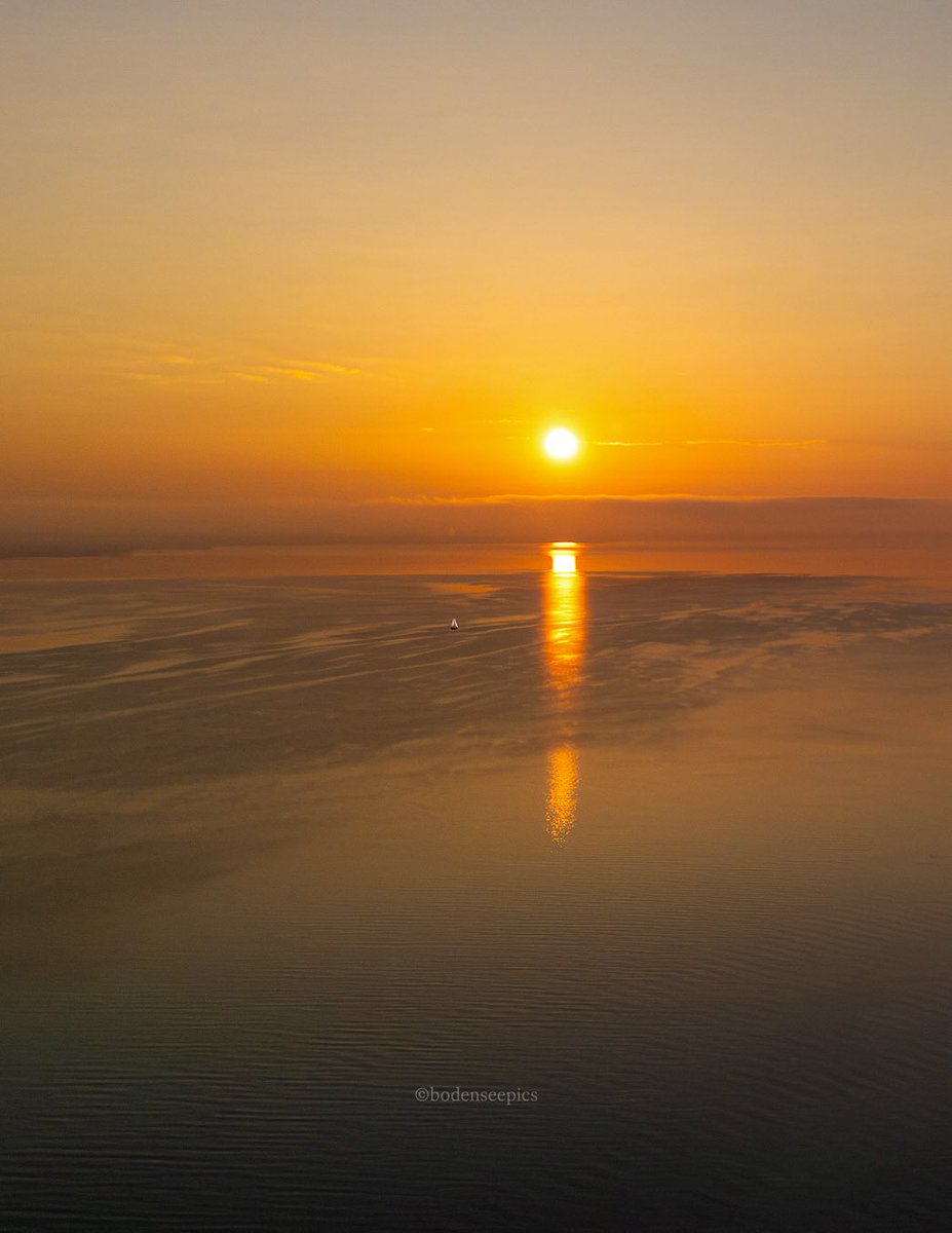 Pia Scheuer | BODENSEEPICS tweet media