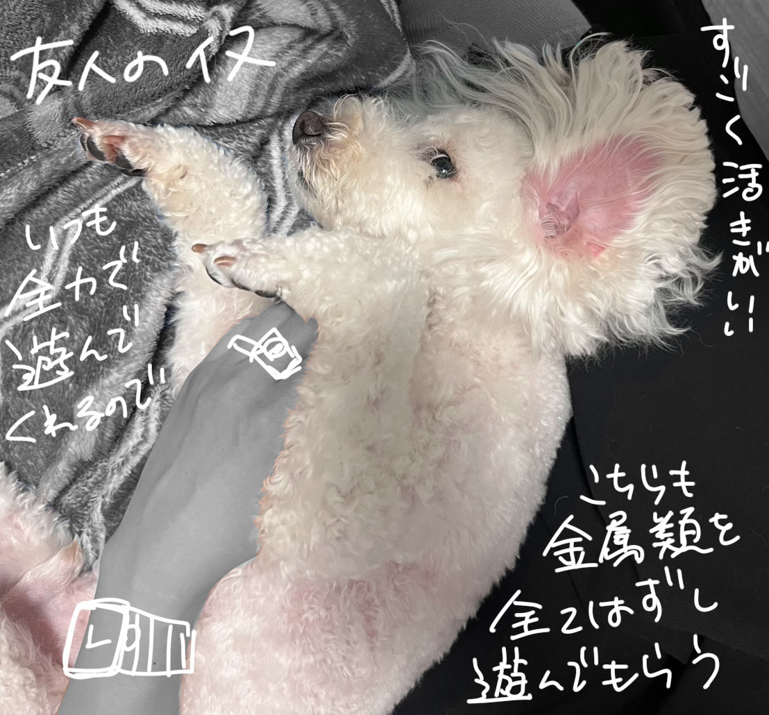 九ジョウ tweet media