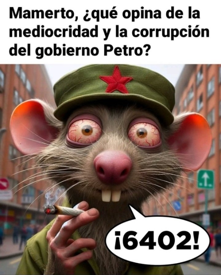 JAV 🇨🇴🇮🇹 tweet media