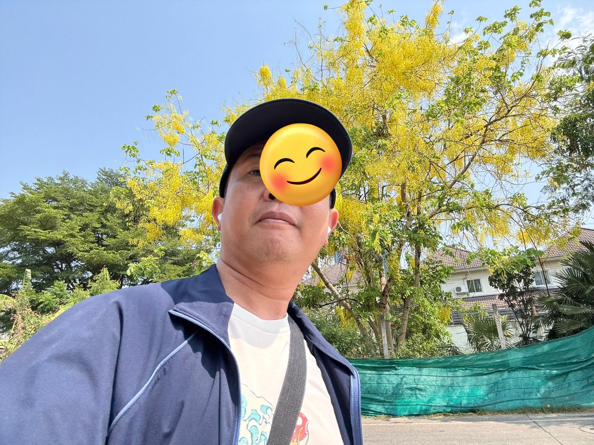 ✨ アベさん 🇹🇭 tweet media