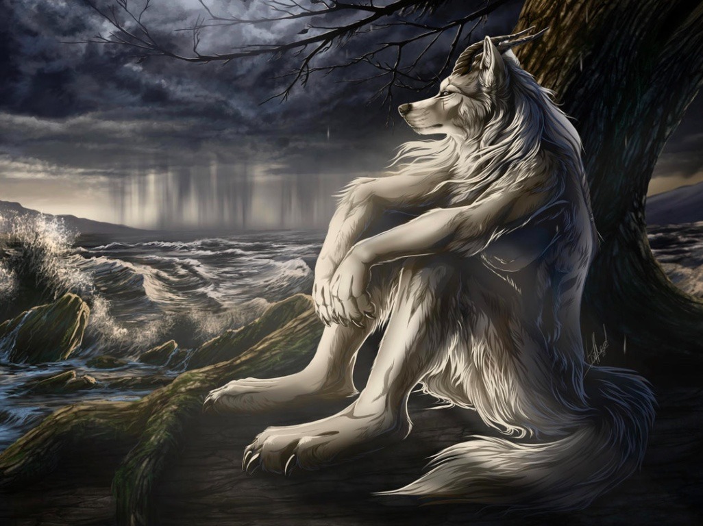 «Geral» ⊬ 🕷️🇨🇴 tweet media