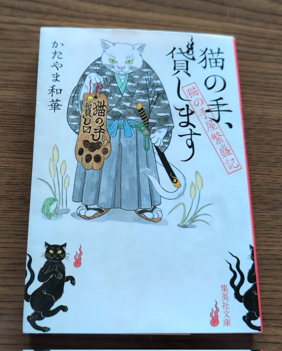 しましまと水玉 tweet media