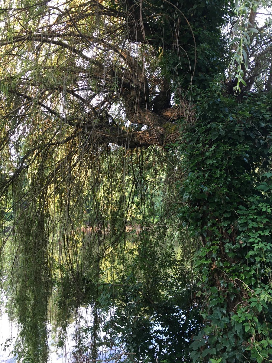 Django & Michèle tweet media