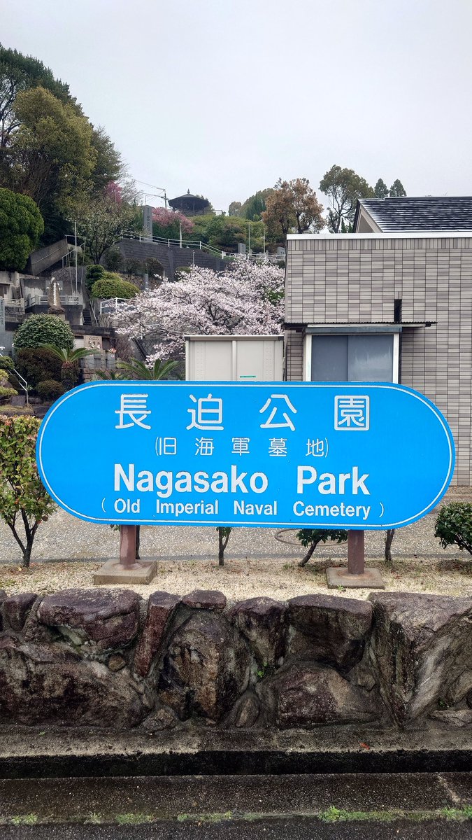 terabbit(テラビット) tweet media