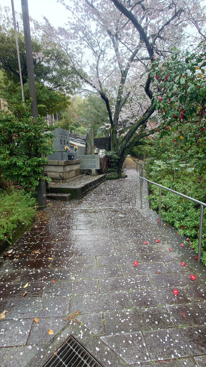 terabbit(テラビット) tweet media