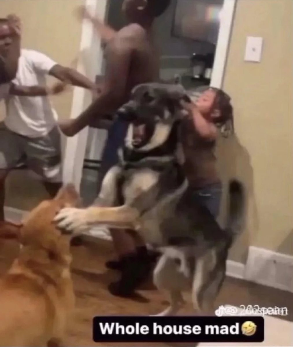 cei | china's ❤️ tweet media