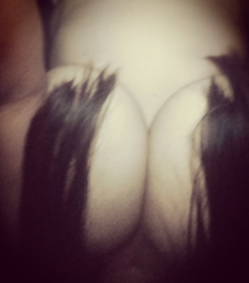 Pareja Mxcli tweet media