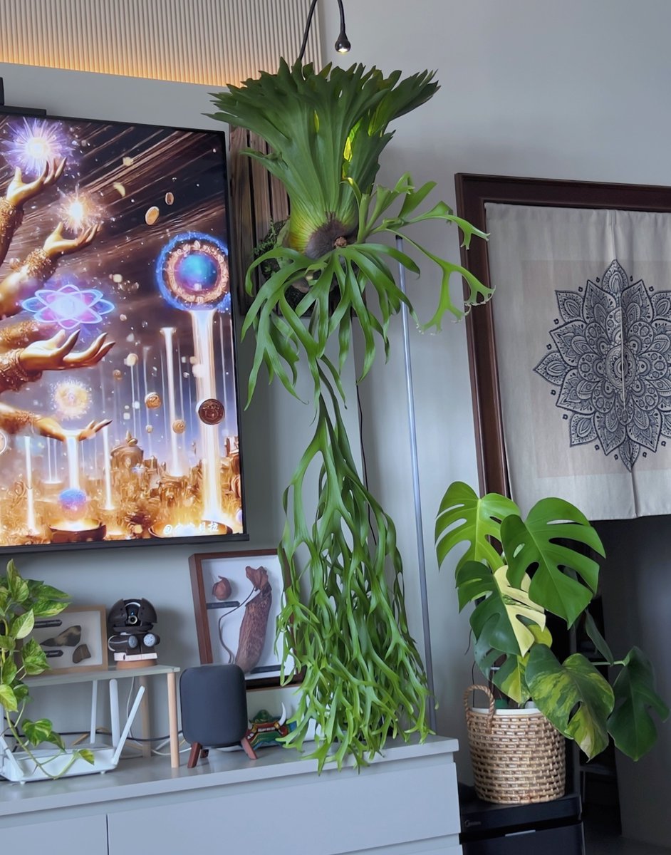 𝐒𝐮𝐩𝐞𝐫𝐙 tweet media