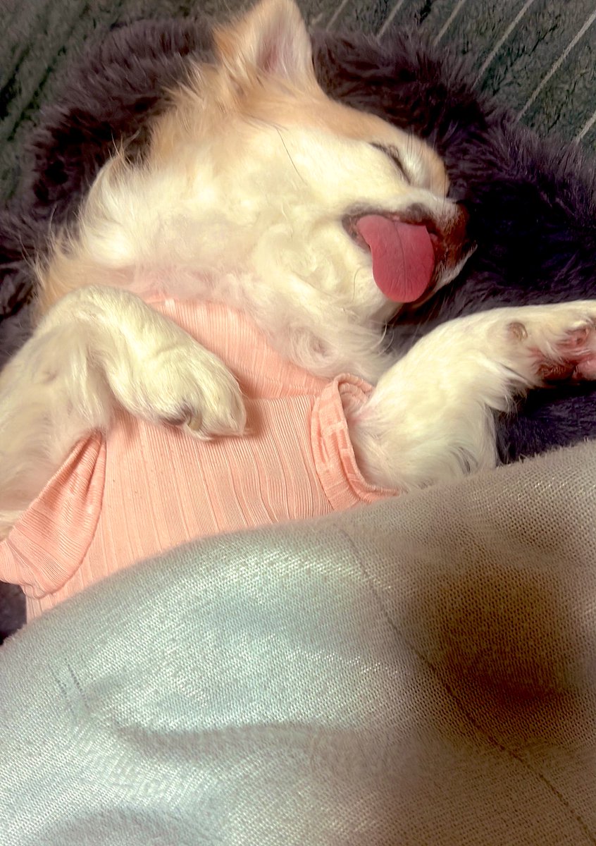 mana deco 🐝 tweet media