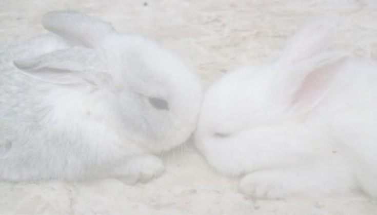 Mouran. tweet media