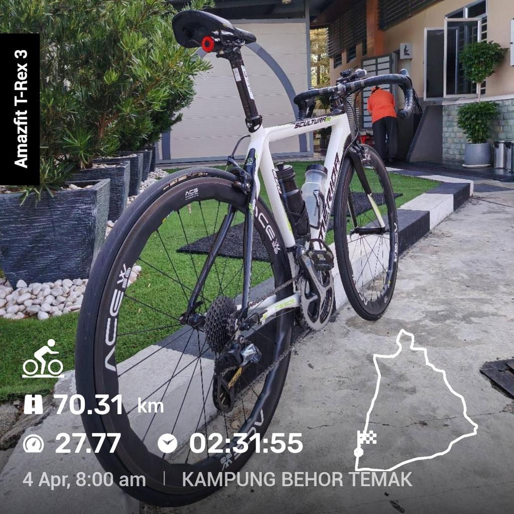 anbaah's tweet image. #trex3