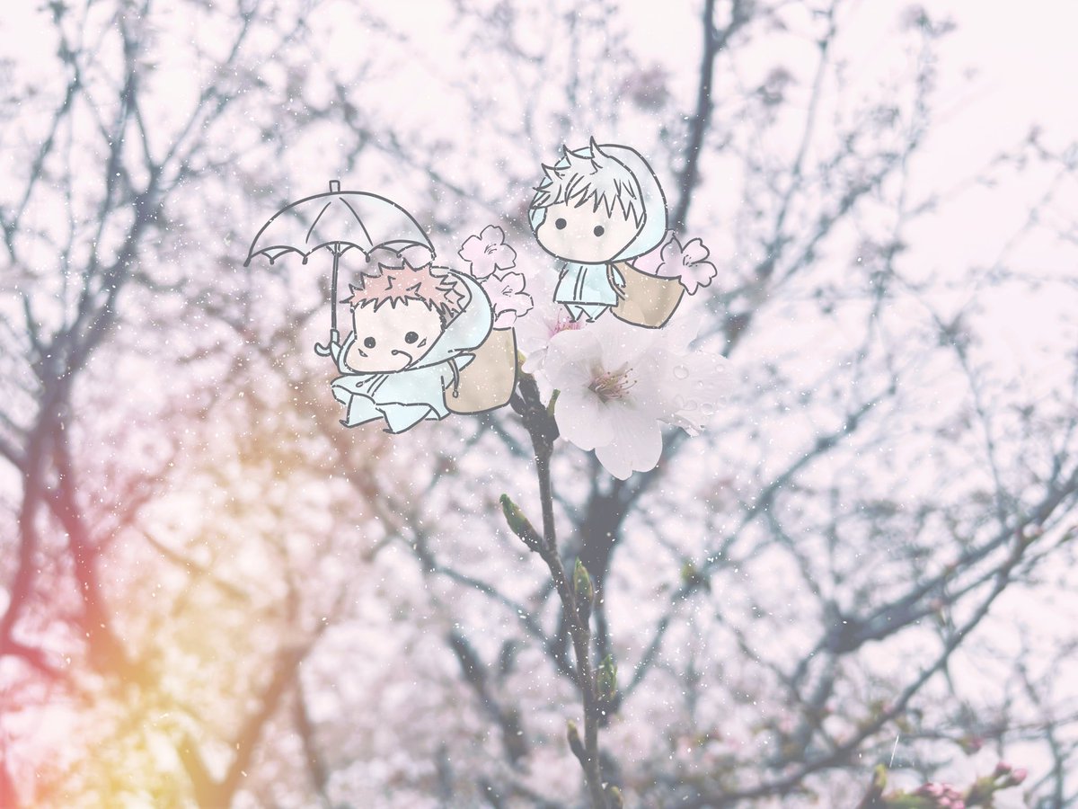 暖か🍊 tweet media