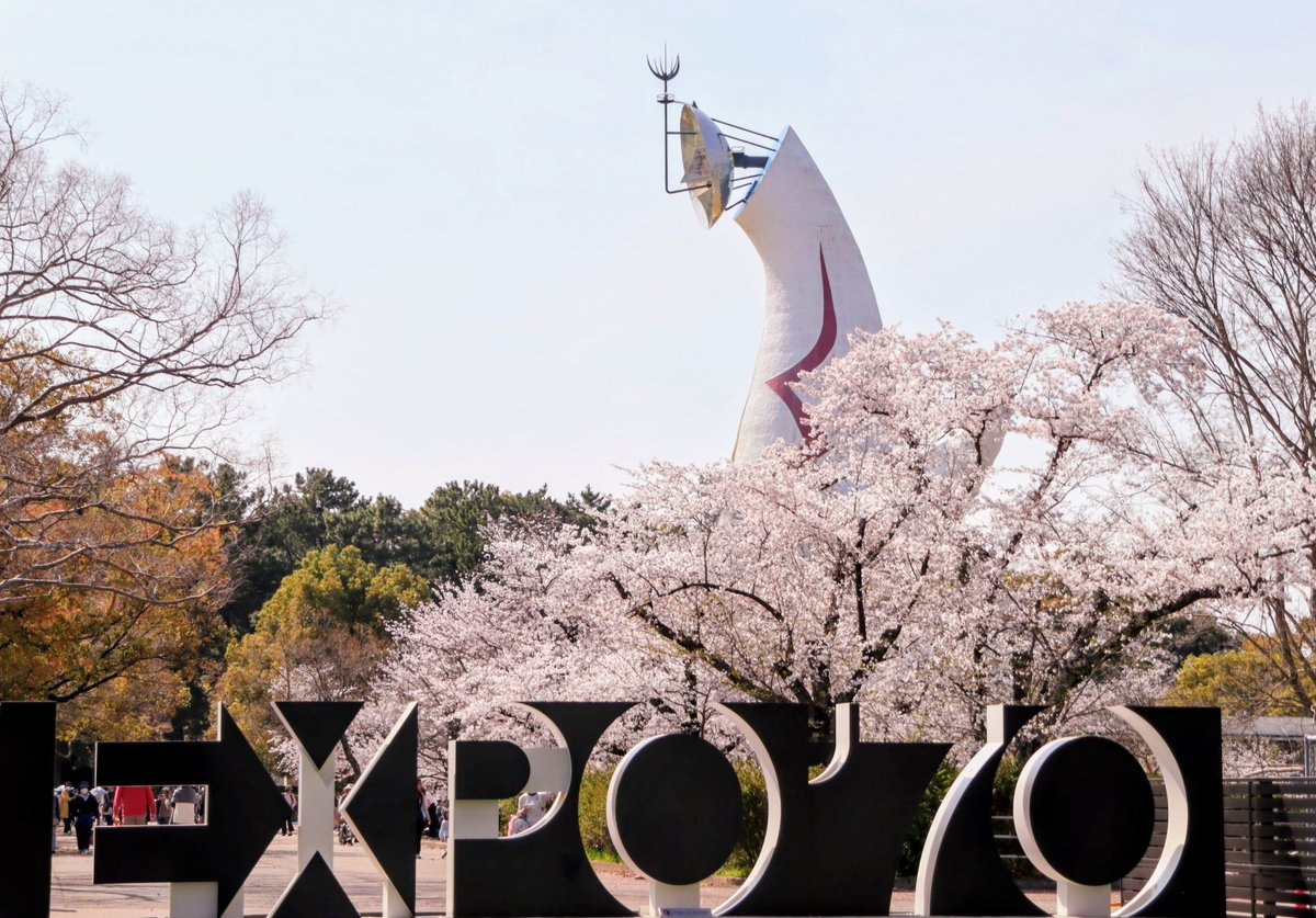 daiichi18's tweet photo. 大阪万博公園の桜と太陽の塔 https://t.co/5GoQF0MVle