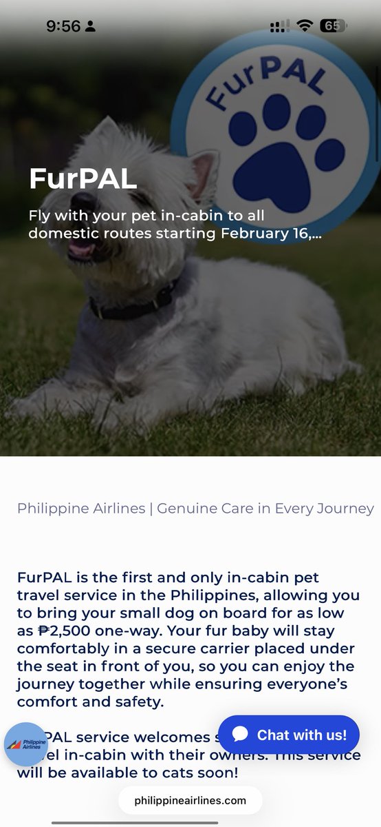 donmiguel8088's tweet photo. Philippine Airlines  @flyPAL, your #FurPAL program is a trap for well-meaning pet owners. 🚨

We did everything (well almost) by the book to fly my dog, Cooper, to Roxas City early this morning. We bought the spec-compliant carrier, rushed to secure time-sensitive vet clearances https://t.co/TxYAOBhOw0