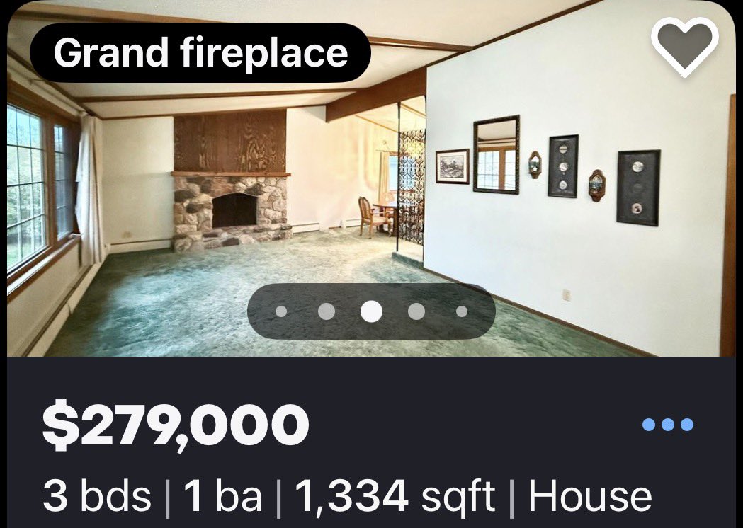 Malo is Fur-ish 🦭 tweet media