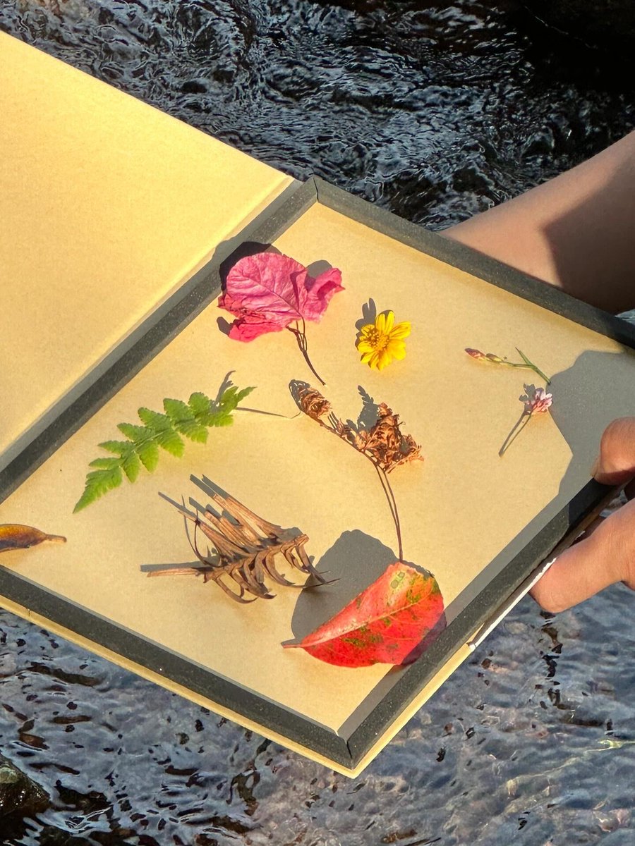 subbu_bv@yahoo.com tweet media