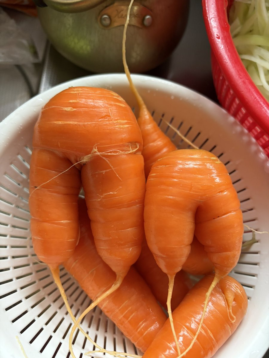 刺身と角ハイボール(沖縄のネカマ) tweet media