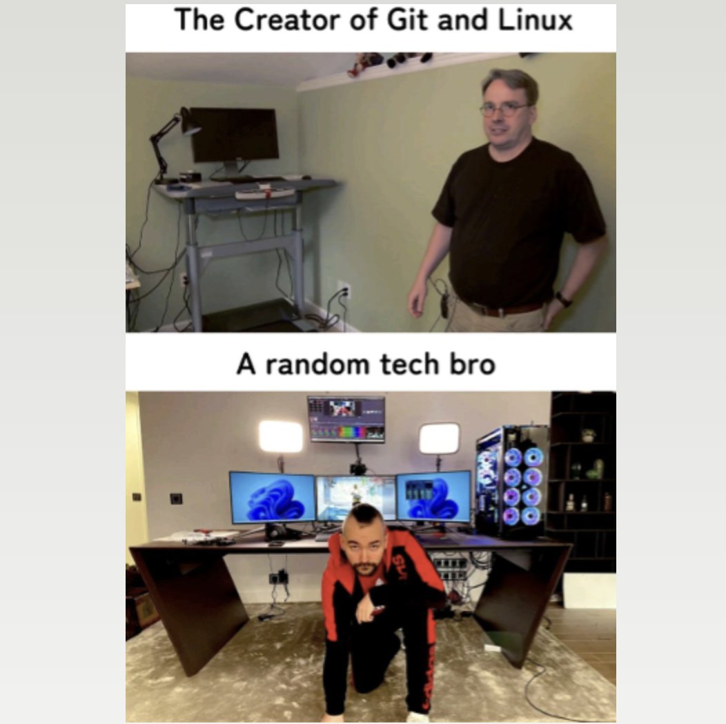 bashbunni tweet media