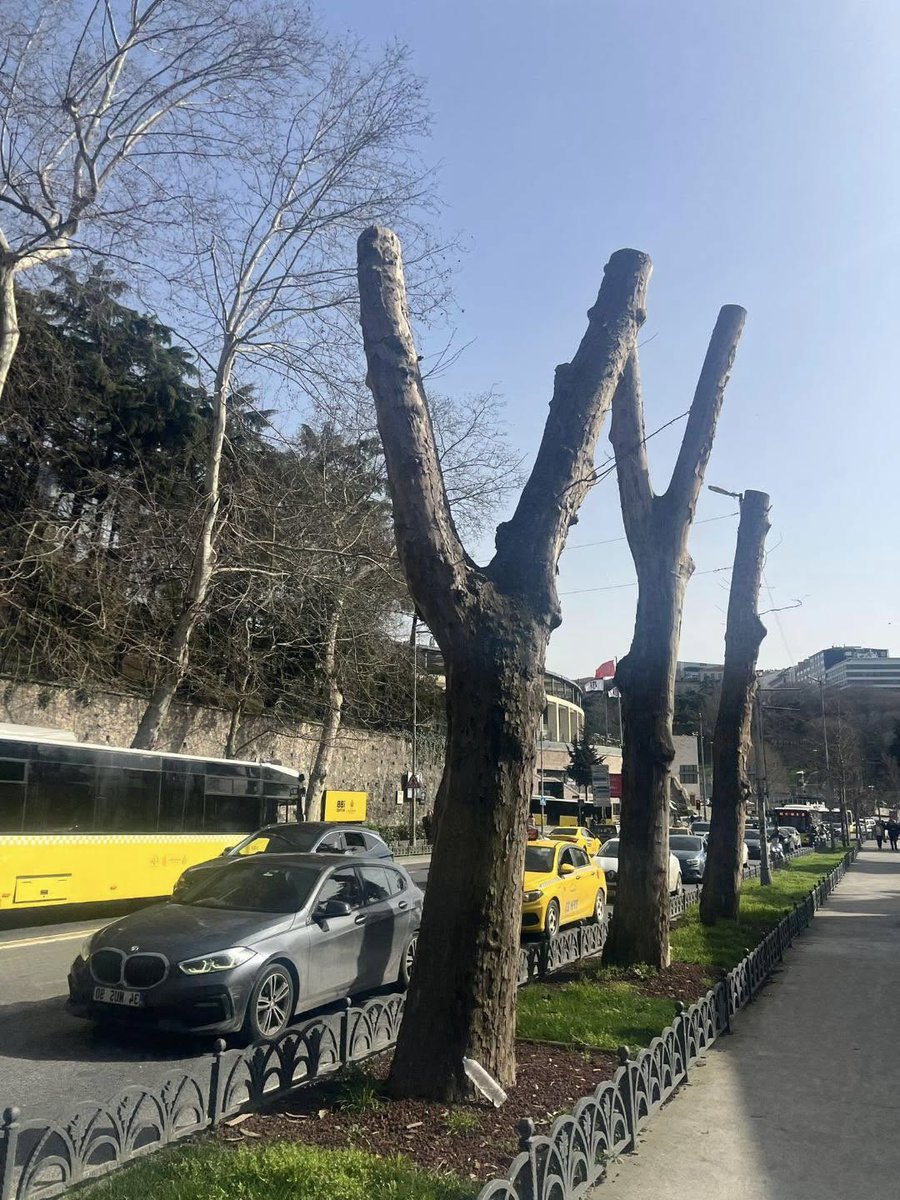 Dr. Pacman the Staj Canavarı 😈 tweet media