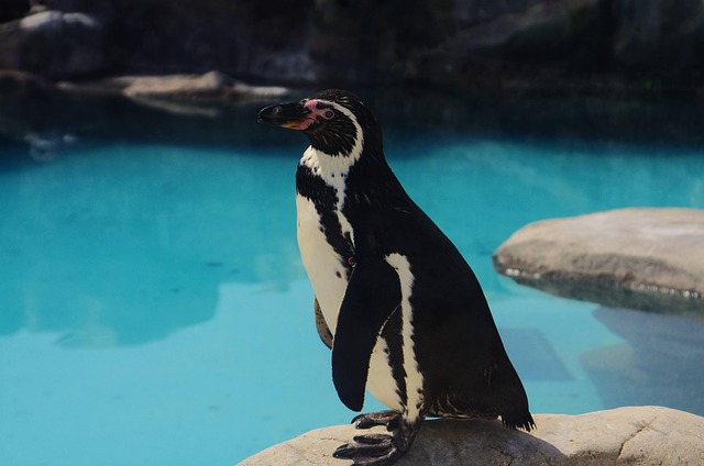 Theresa Lee tweet media