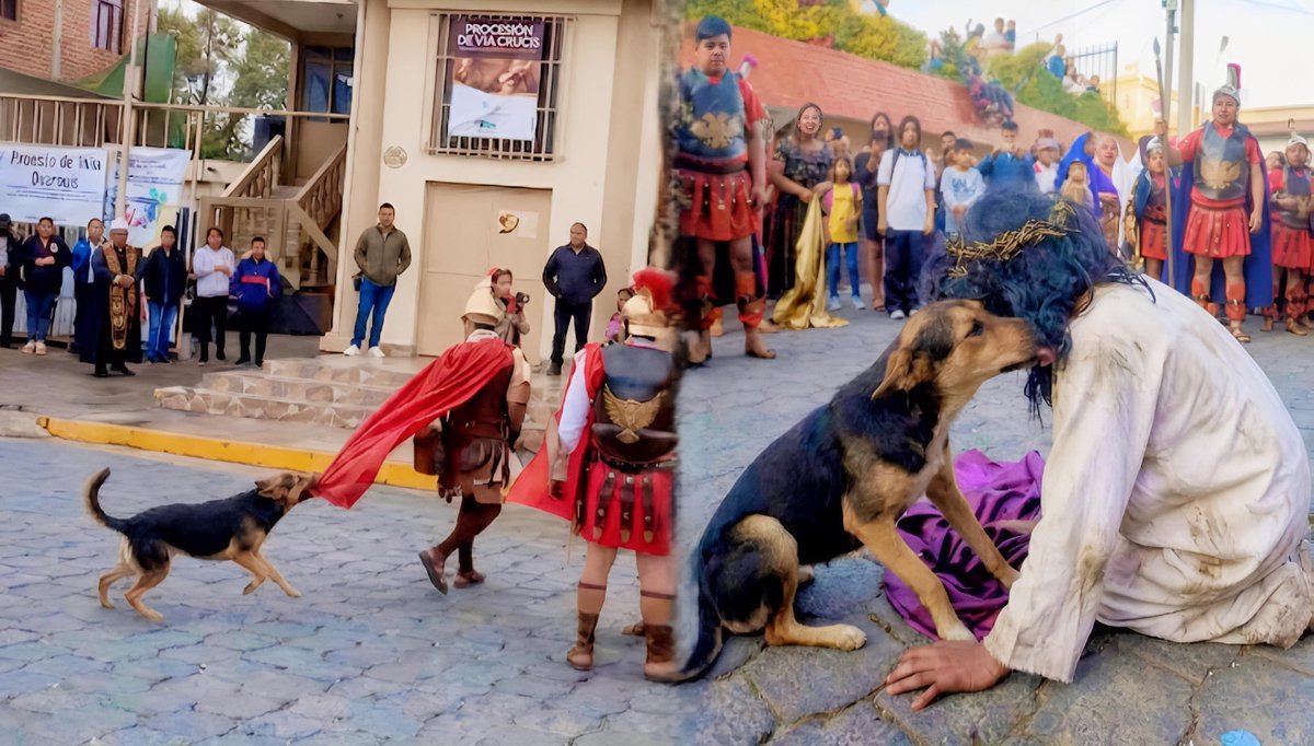 BVIP 🎮💎 tweet media