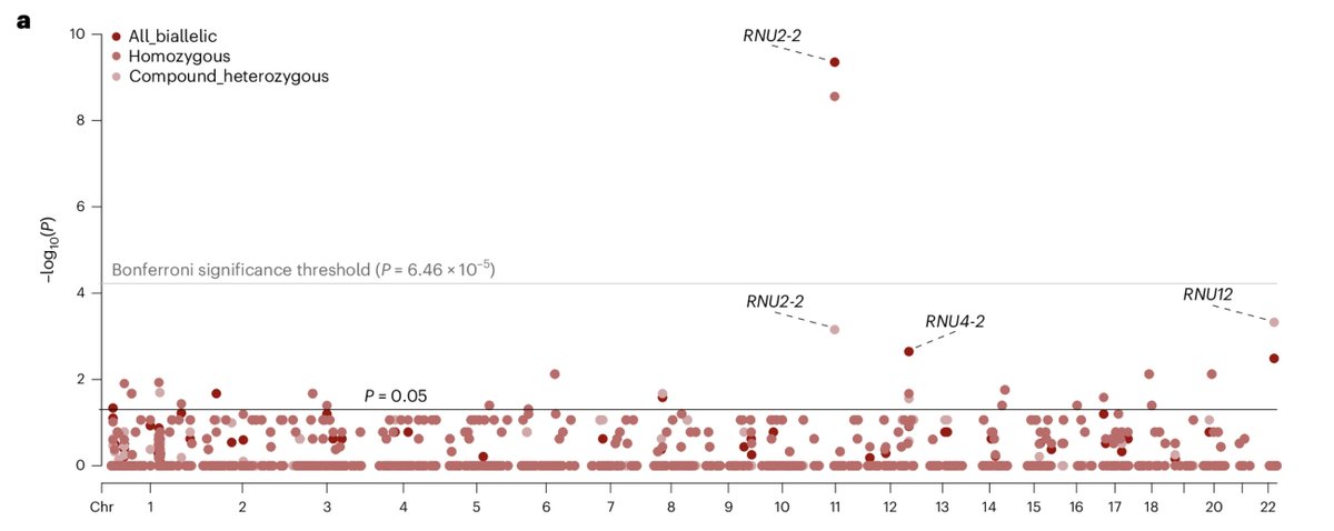 Joe Pickrell tweet media