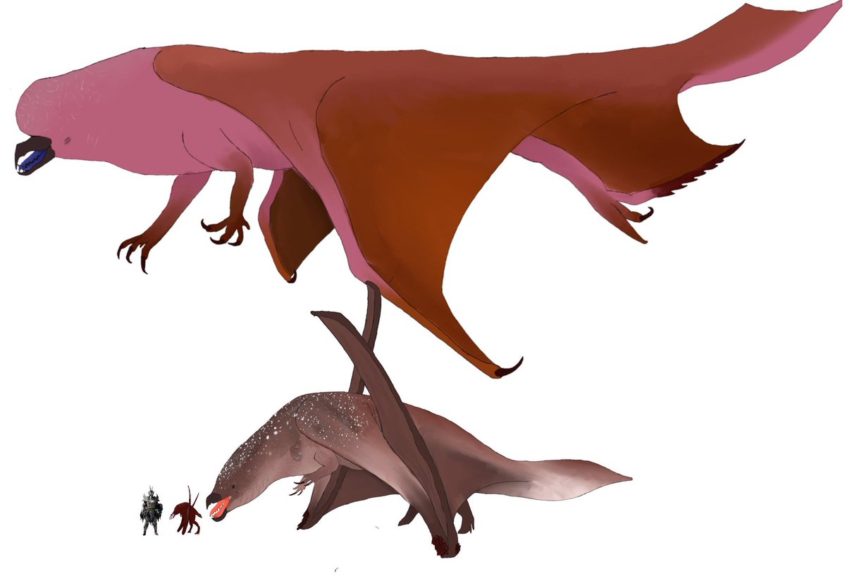 Eoraptor lunensis tweet media