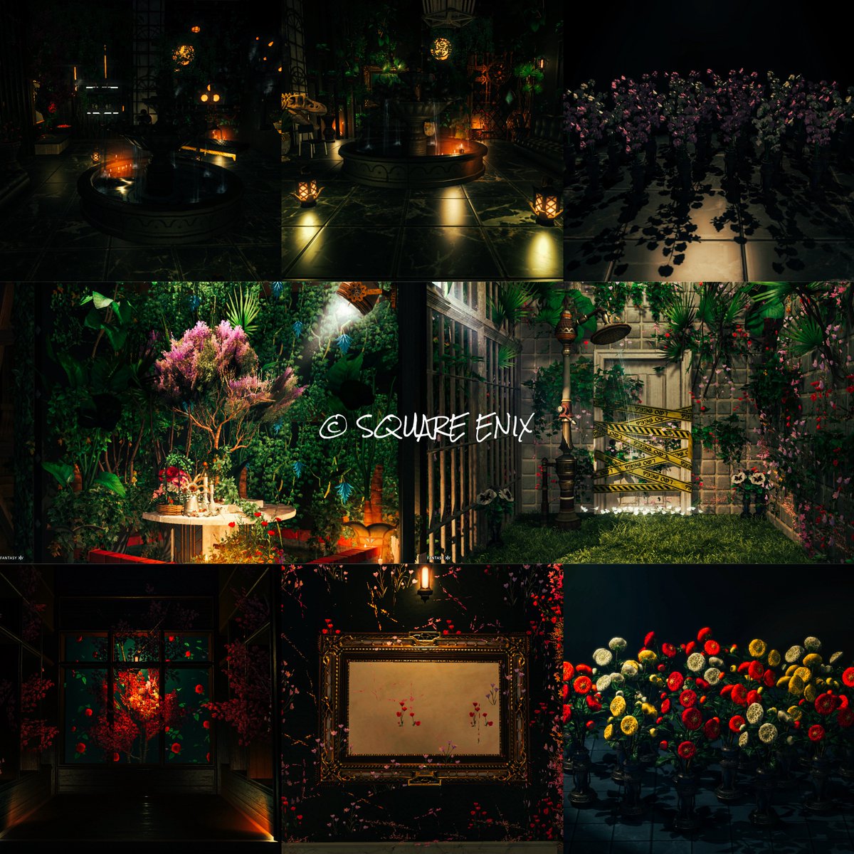 𝘾𝙃𝙄𝙍𝙄 tweet media