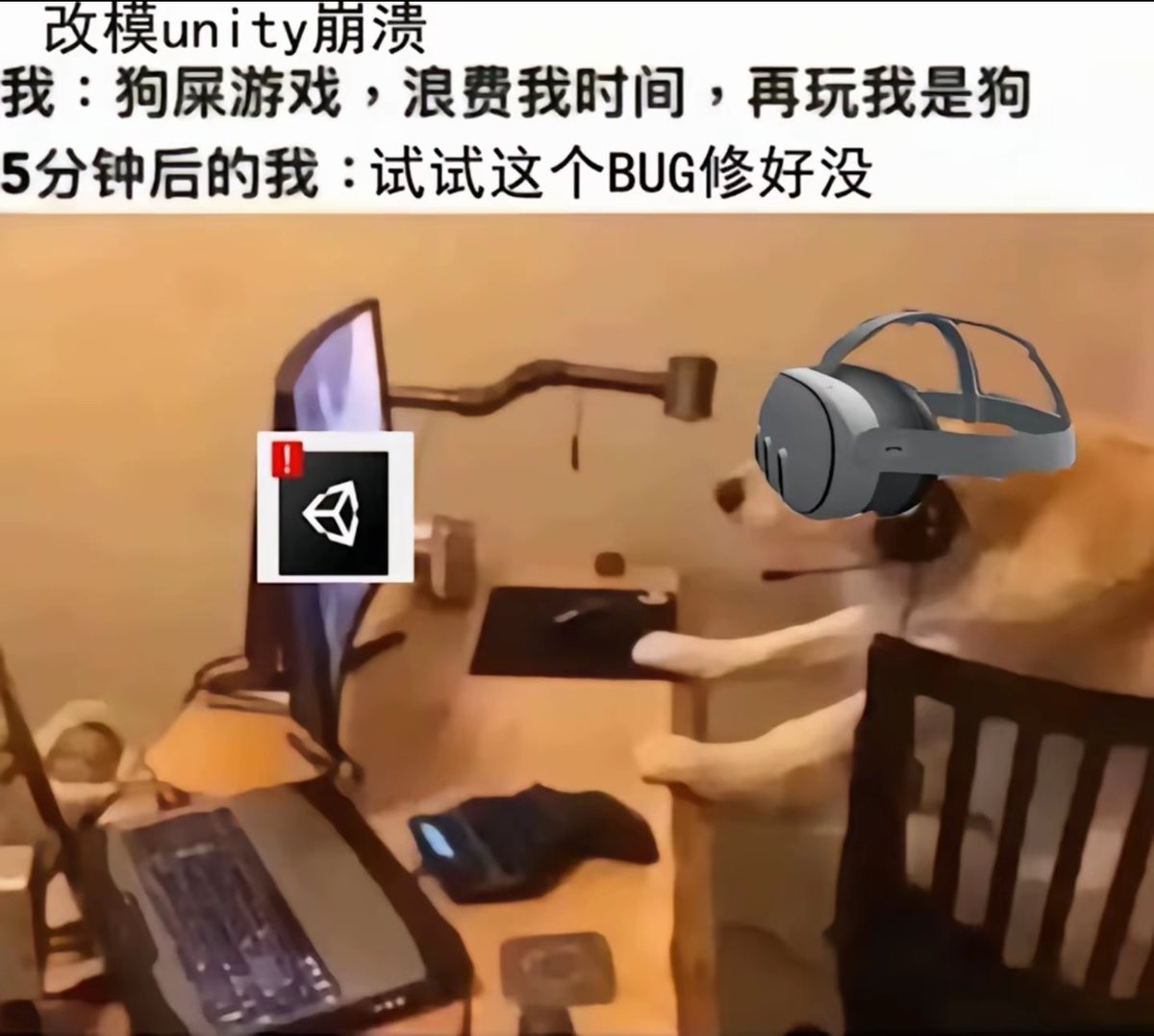 好奇猫a tweet media