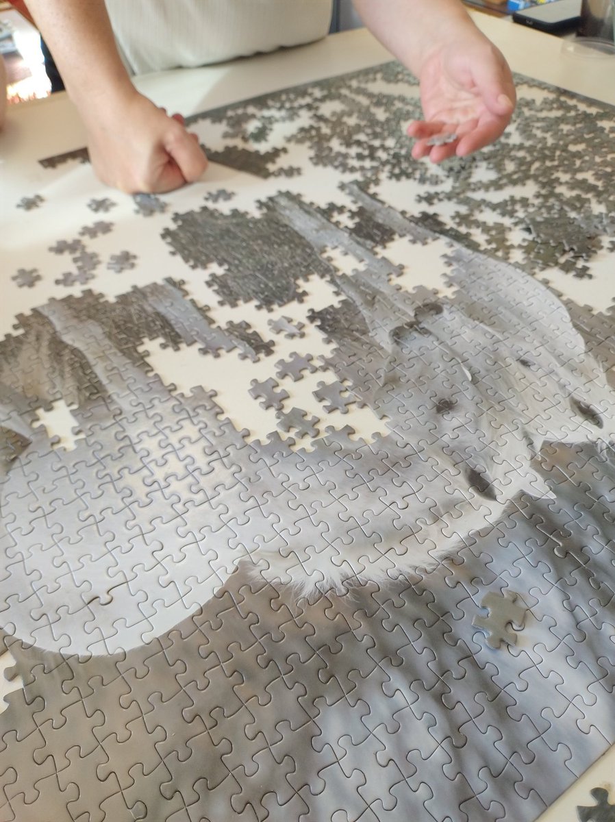 Greetings from Argentina tweet media