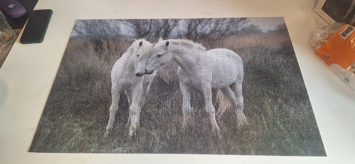 Greetings from Argentina tweet media