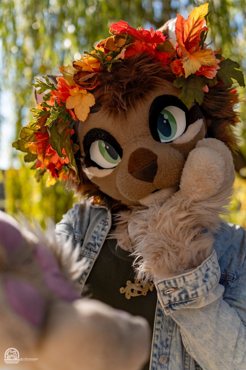 Mocha ☕️ tweet media