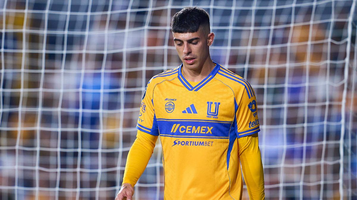 <a href="/TigresOficial/">Club Tigres 🐯</a> <a href="/CervezaTecate/">Cerveza Tecate</a> Que le paso a este wey? Ya se ciclo como Ibáñez?