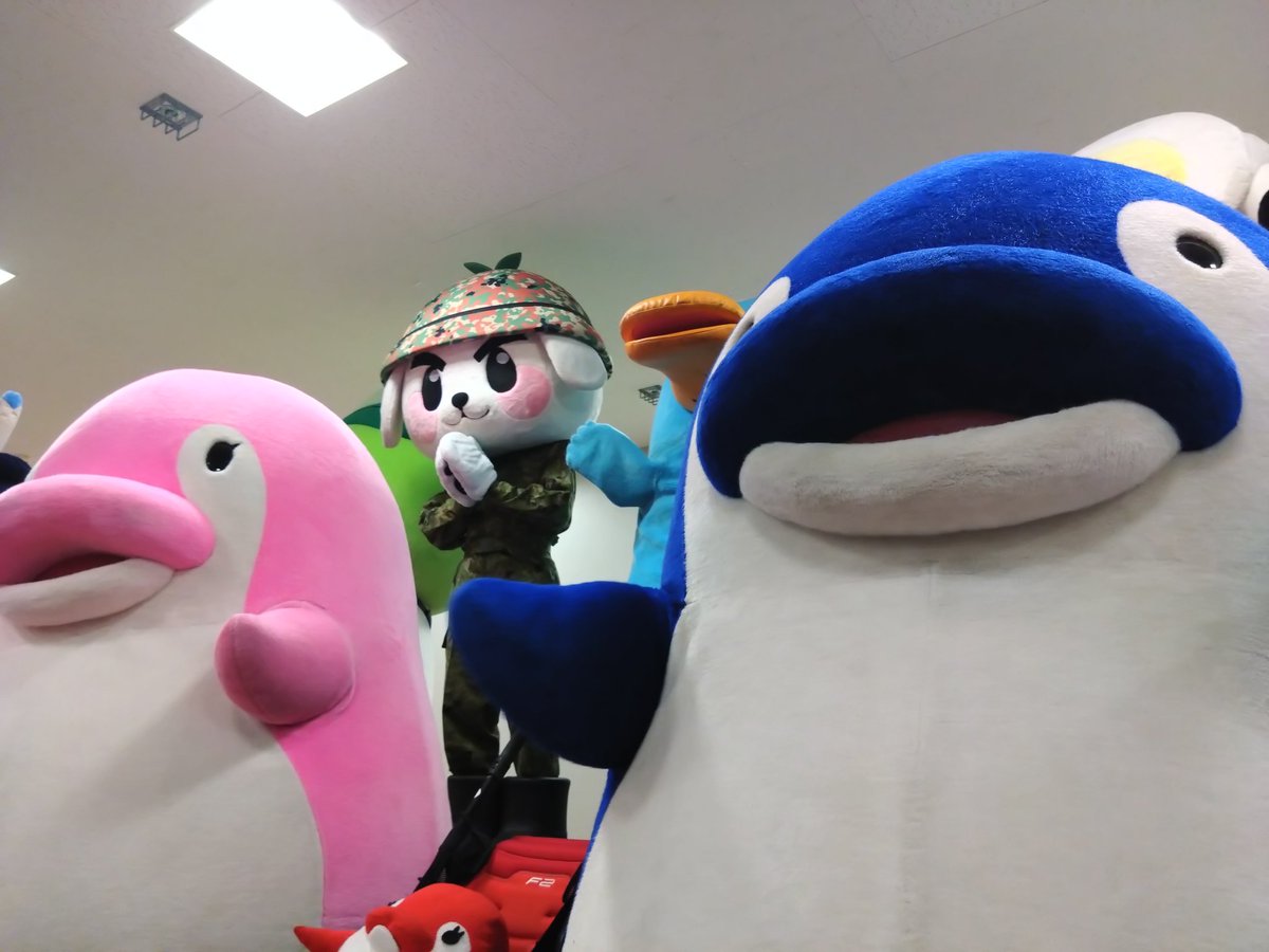 まるさ tweet media