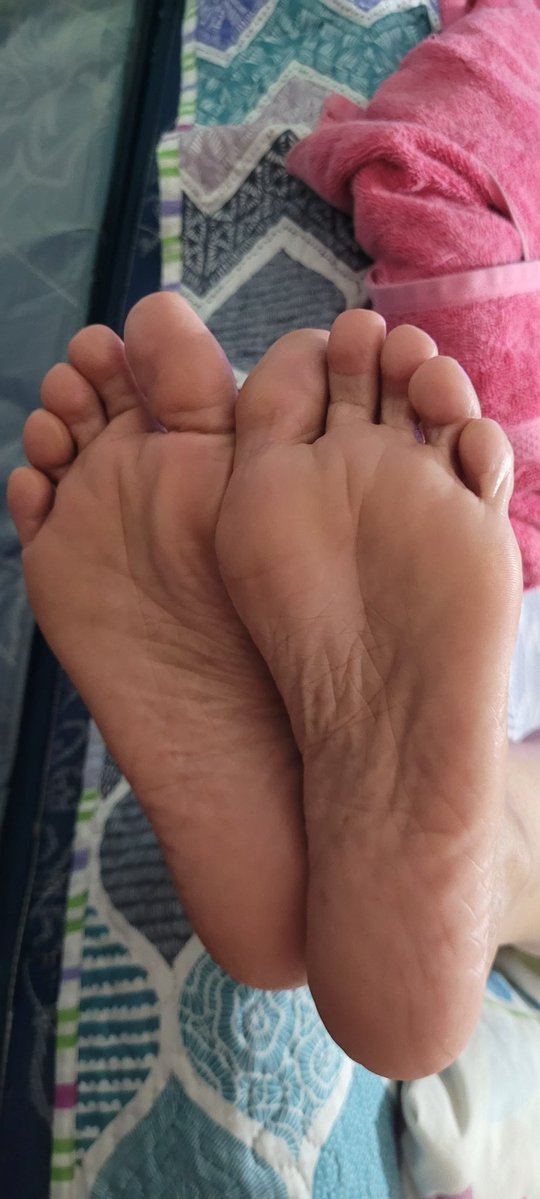 TheSoftArch tweet media